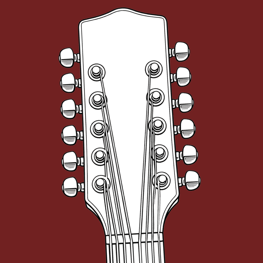 CATEGORY - 12 String Instruments